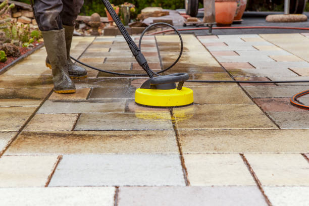 Animal Enclosure Cleaning in St Simons, GA